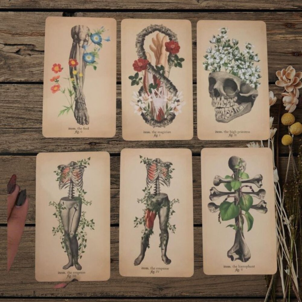 Antique Anatomy Tarot Deck | 78-Card Tarot with Guidebook | Gift Ready - Picture 8 of 16